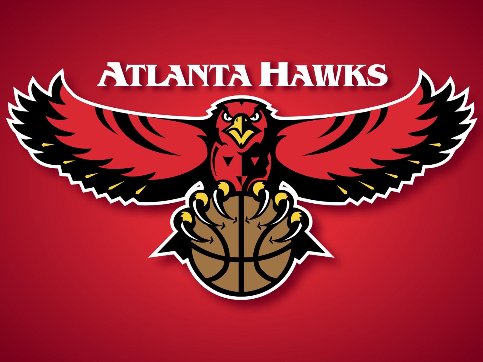 The History of the Atlanta Hawks